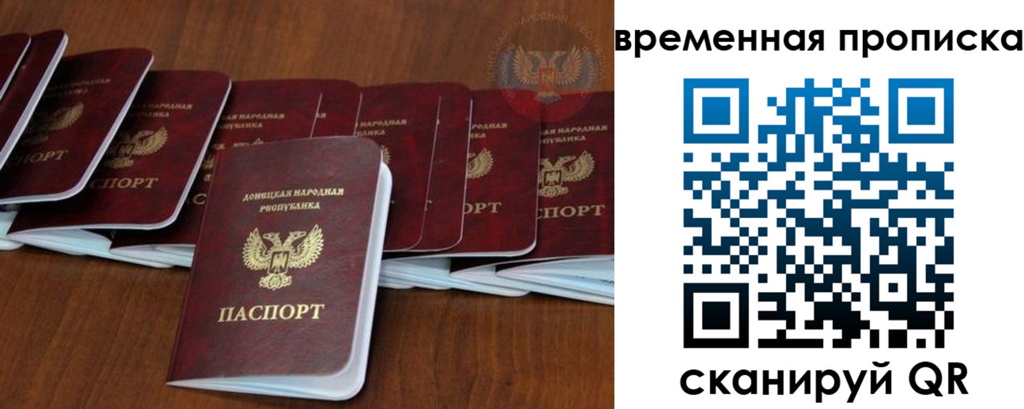 прописка поиск в Заинске